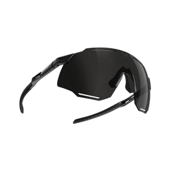 Sunglasses Dynafit Alpine Sunglasses Black Out/Nimbus- 2025/26