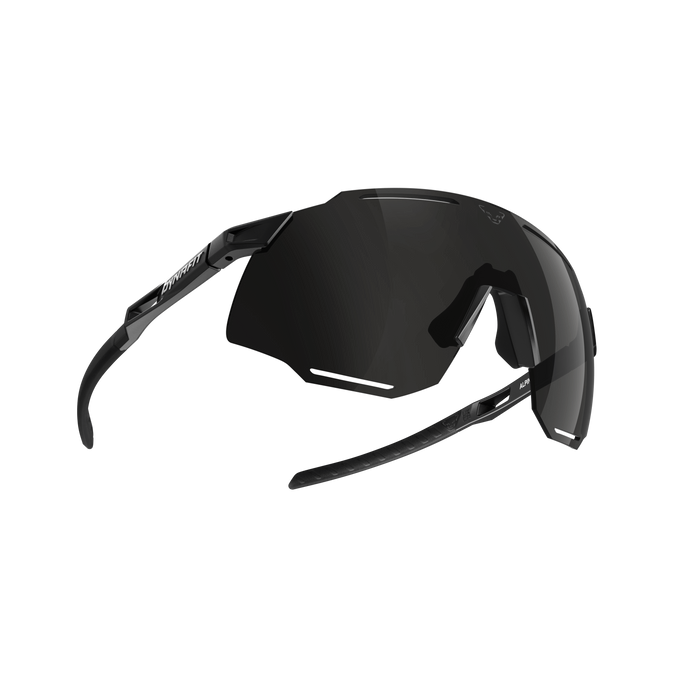 Okulary Dynafit Alpine Sunglasses Black Out/Nimbus- 2025/26