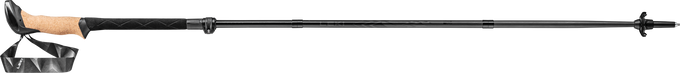 LEKI Black Series FX Carbon - 2025