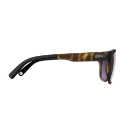 Sonnenbrille POC Require Tortoise Brown/Clarity Road/Sunny Silver