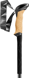 Kije trekkingowe LEKI Black Series Carbon
